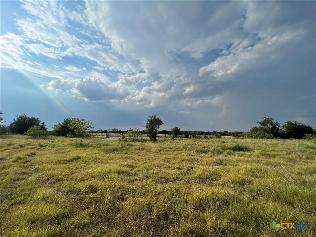 TBD County Road 421, Evant, TX 76525