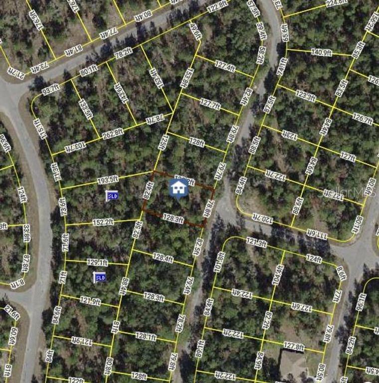 0 FISHER COURSE, Ocklawaha, FL 32179