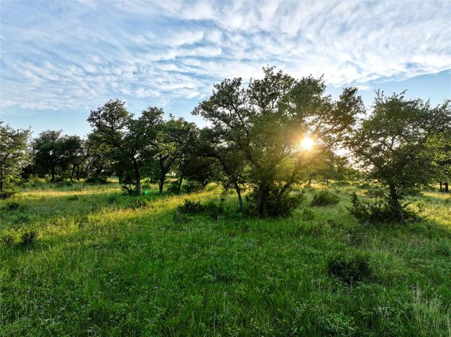 Lot 1 FM 2657, Briggs, TX 78608