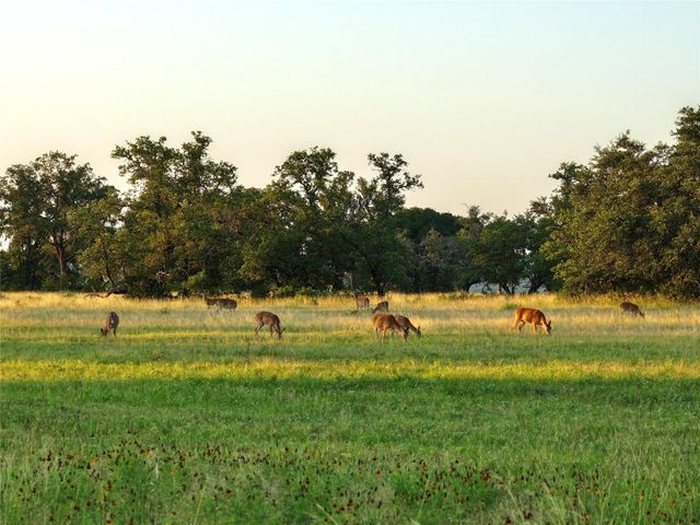 Lot 1 FM 2657, Briggs, TX 78608