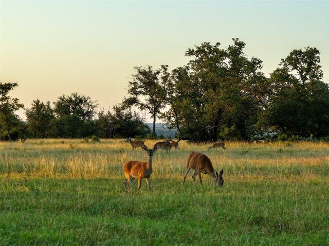 Lot 1 FM 2657, Briggs, TX 78608