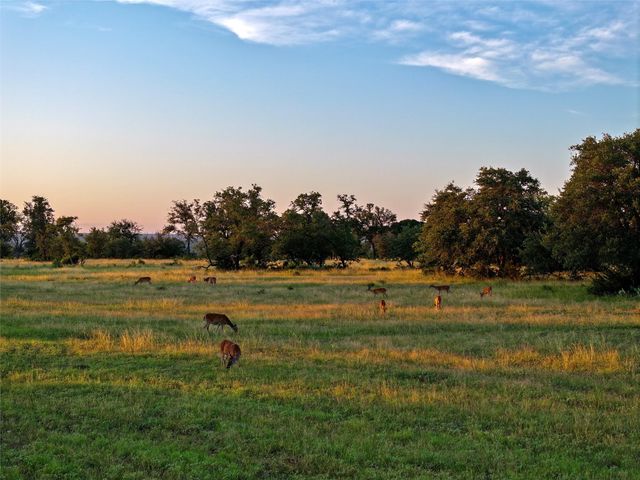 Lot 1 FM 2657, Briggs, TX 78608