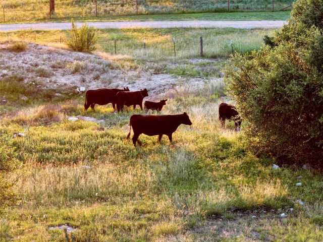 Lot 1 FM 2657, Briggs, TX 78608