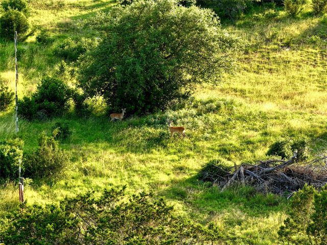 Lot 1 FM 2657, Briggs, TX 78608