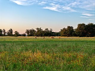 Lot 1 FM 2657, Briggs, TX 78608