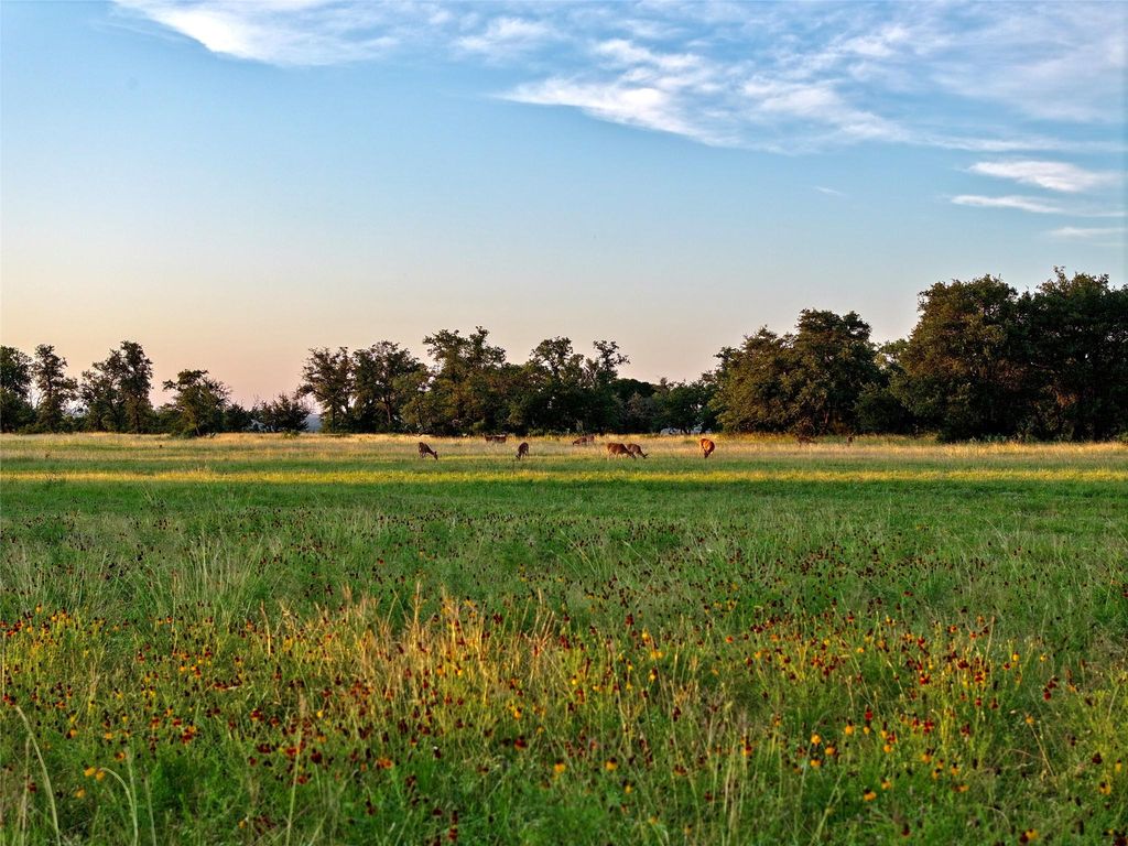 Lot 1 FM 2657, Briggs, TX 78608