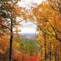 0 Worley Road Lot 14, Soddy Daisy, TN 37379