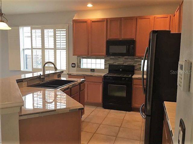 11235 RAPALLO LANE, Windermere, FL 34786