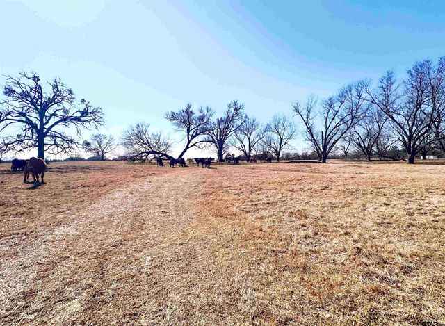 0 Hwy. 155 & CR 435, Frankston, TX 75763