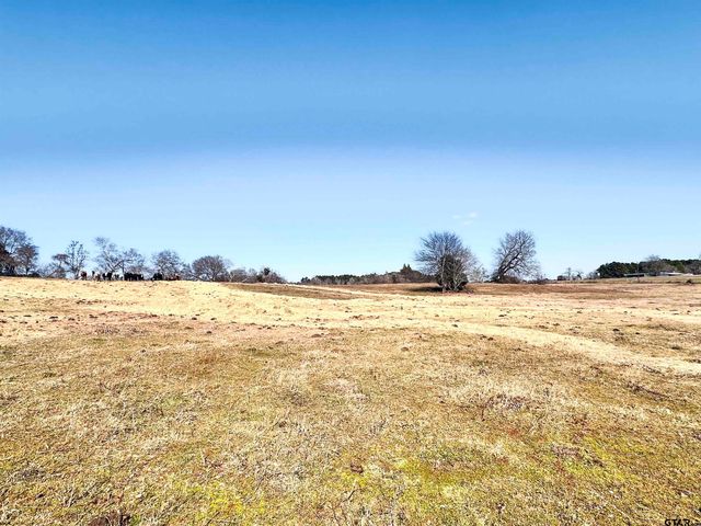 0 Hwy. 155 & CR 435, Frankston, TX 75763