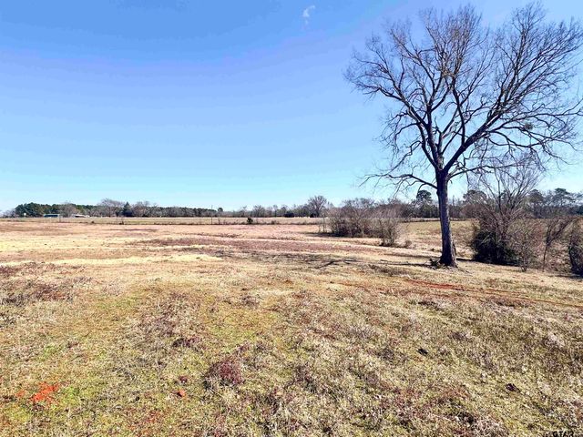 0 Hwy. 155 & CR 435, Frankston, TX 75763