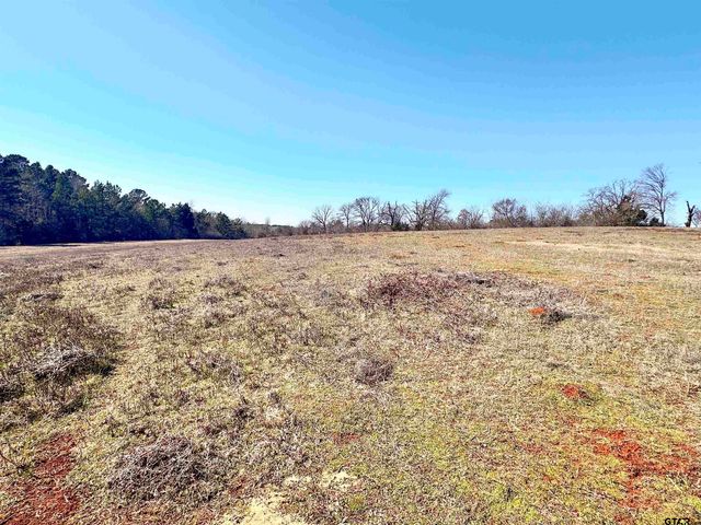 0 Hwy. 155 & CR 435, Frankston, TX 75763