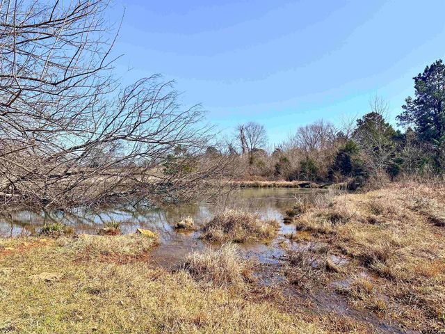 0 Hwy. 155 & CR 435, Frankston, TX 75763