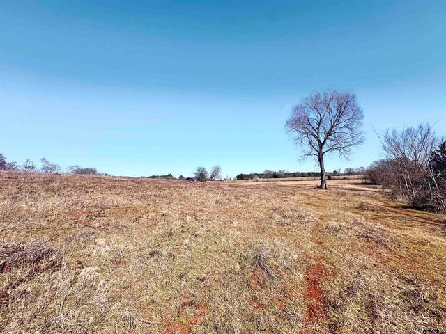 0 Hwy. 155 & CR 435, Frankston, TX 75763