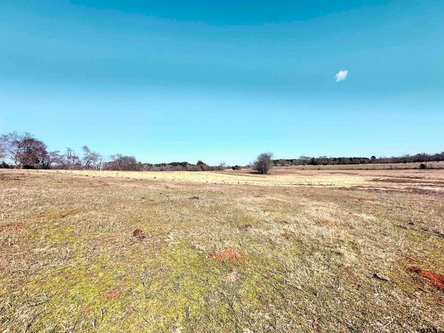 0 Hwy. 155 & CR 435, Frankston, TX 75763