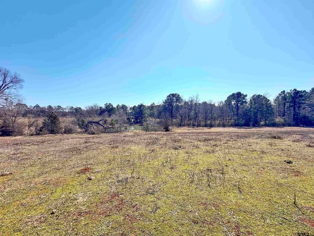 0 Hwy. 155 & CR 435, Frankston, TX 75763