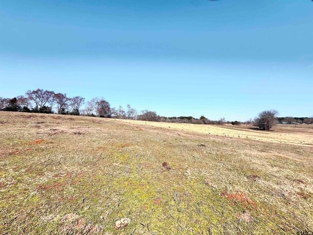 0 Hwy. 155 & CR 435, Frankston, TX 75763