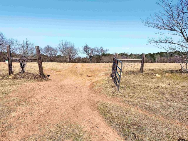 0 Hwy. 155 & CR 435, Frankston, TX 75763