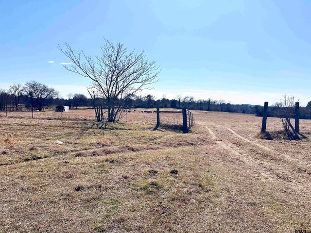 0 Hwy. 155 & CR 435, Frankston, TX 75763