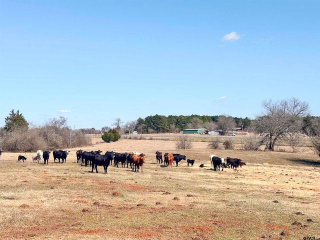 0 Hwy. 155 & CR 435, Frankston, TX 75763