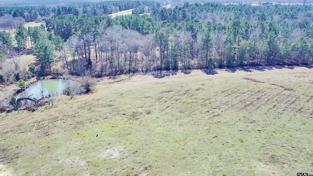 0 Hwy. 155 & CR 435, Frankston, TX 75763