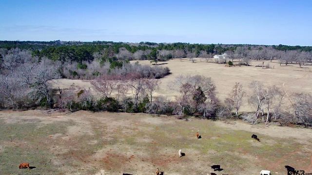 0 Hwy. 155 & CR 435, Frankston, TX 75763