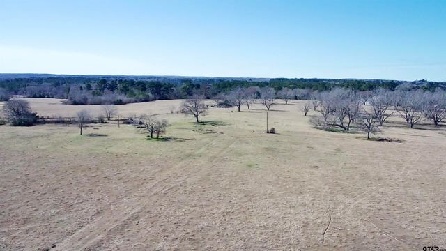 0 Hwy. 155 & CR 435, Frankston, TX 75763