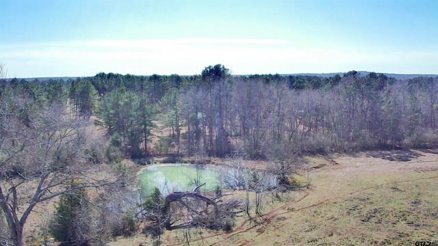 0 Hwy. 155 & CR 435, Frankston, TX 75763