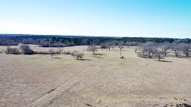 0 Hwy. 155 & CR 435, Frankston, TX 75763