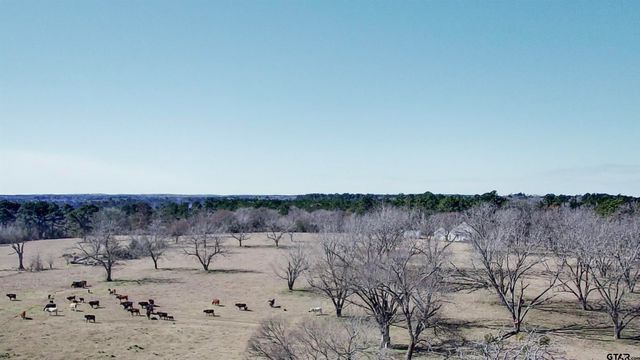 0 Hwy. 155 & CR 435, Frankston, TX 75763