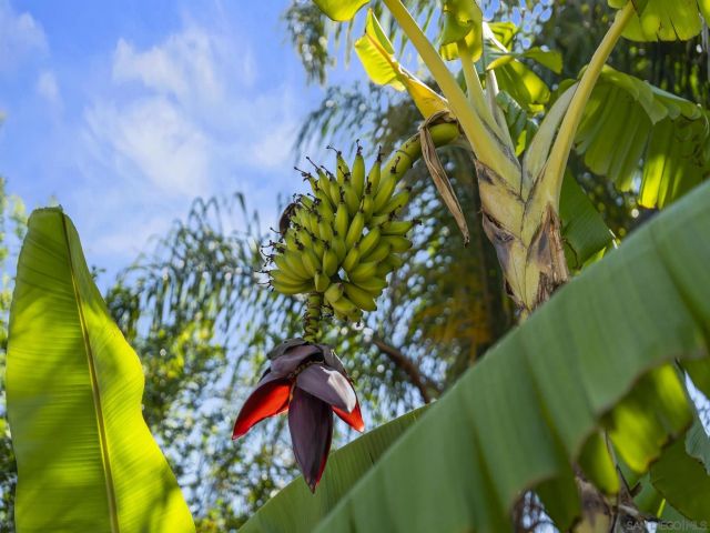 2034 Mount Langley, Chula Vista, CA 91913