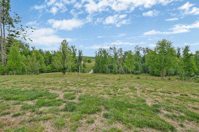2930 Doc Loy Road, Grandview, TN 37337