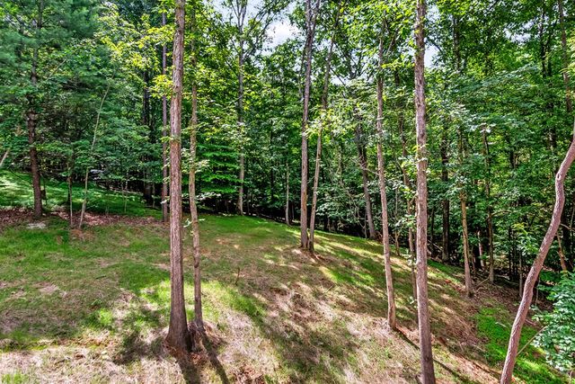 209 Pinecrest Court, Ellijay, GA 30540