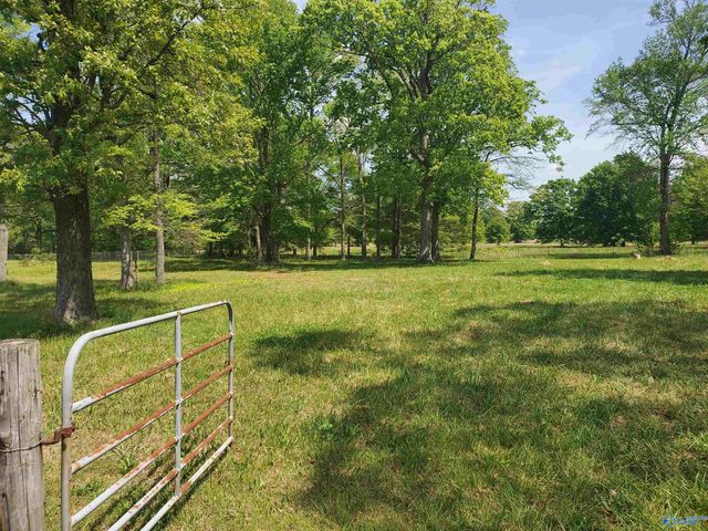 2544 Hwy 207, Rogersville, AL 35652