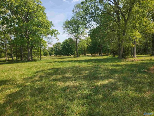 2544 Hwy 207, Rogersville, AL 35652