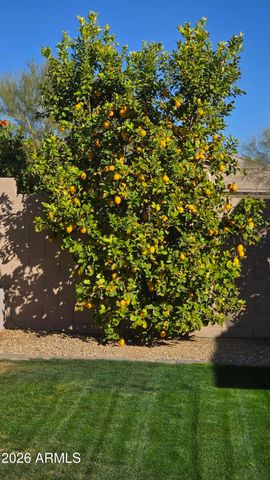 4126 E HOOT OWL Trail, Cave Creek, AZ 85331