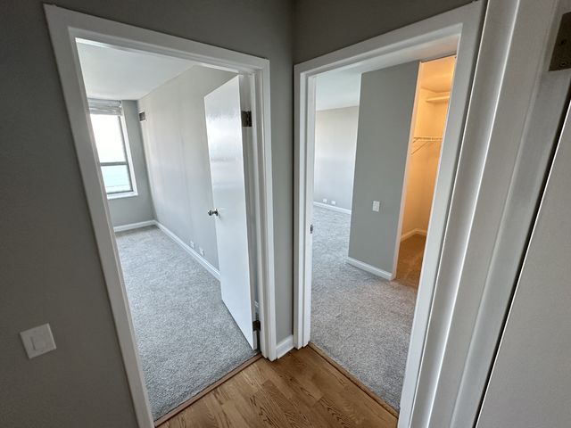 474 N Lake Shore Drive 6102, Chicago, IL 60611
