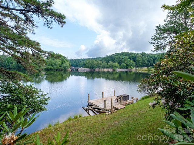 20 Guwa Court, Brevard, NC 28712