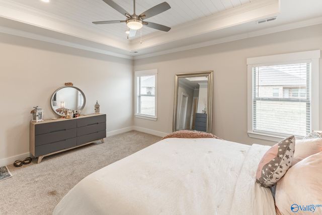 29931 NW Copperpenny Drive, Harvest, AL 35749