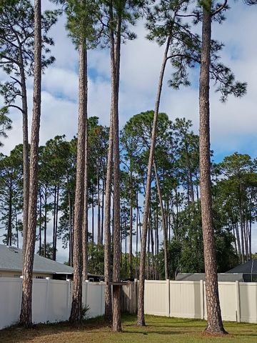 218 BOULDER ROCK DRIVE, Palm Coast, FL 32137