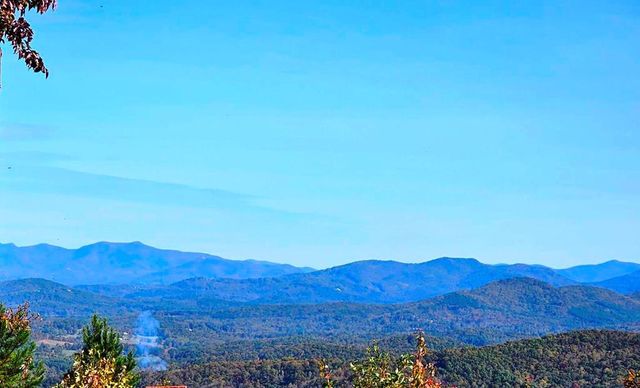 339 Game Trail Drive, Brasstown, NC 28902