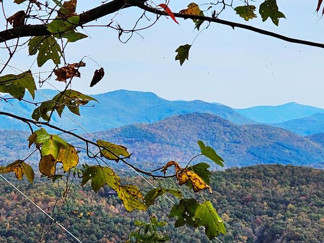 339 Game Trail Drive, Brasstown, NC 28902