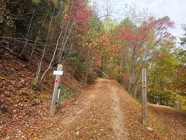 339 Game Trail Drive, Brasstown, NC 28902