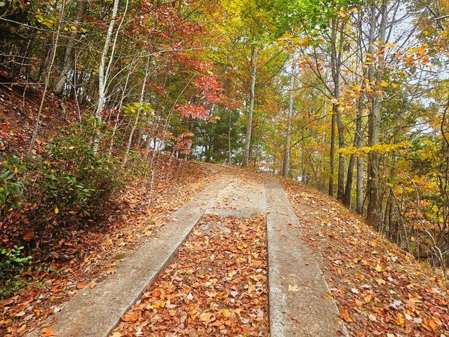 339 Game Trail Drive, Brasstown, NC 28902