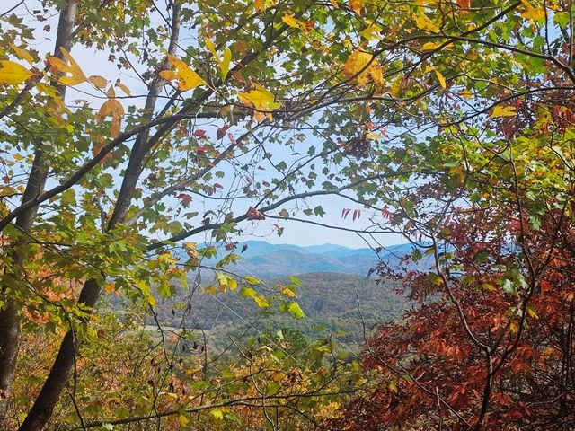 339 Game Trail Drive, Brasstown, NC 28902