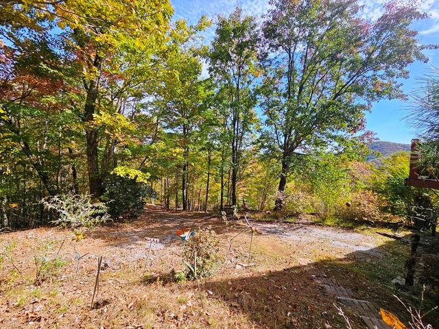 339 Game Trail Drive, Brasstown, NC 28902