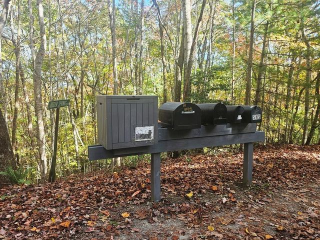 339 Game Trail Drive, Brasstown, NC 28902