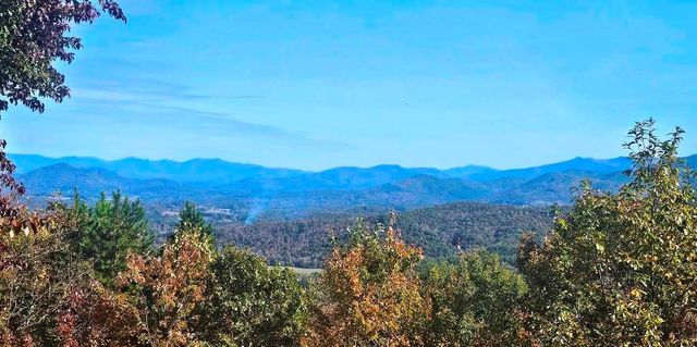 339 Game Trail Drive, Brasstown, NC 28902