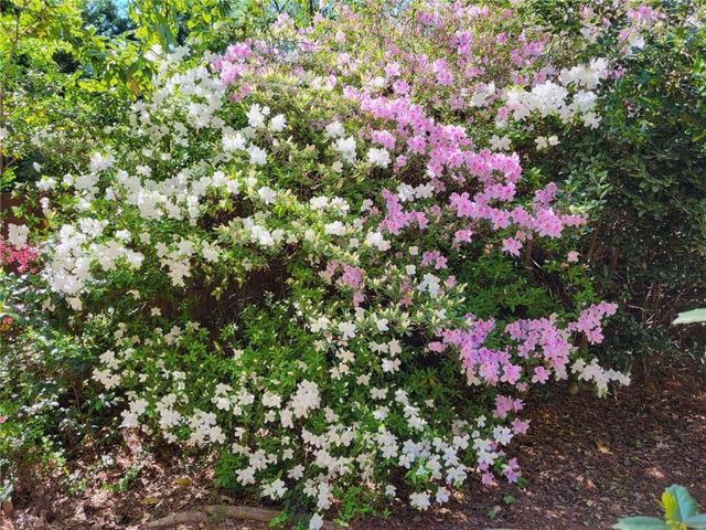 1696 Harts Run, Atlanta, GA 30341