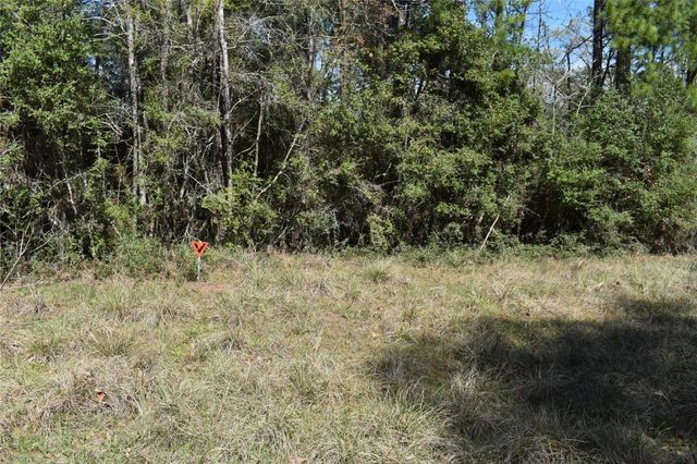 TBD Eagle Lane, Livingston, TX 77351